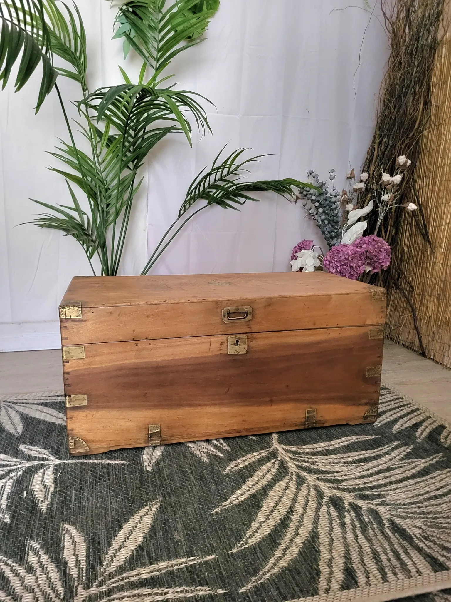 Old camphor wood trunk