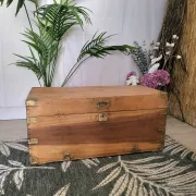 Old camphor wood trunk