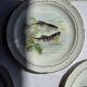 Set of 6 vintage Limoges porcelain plates with fish design.