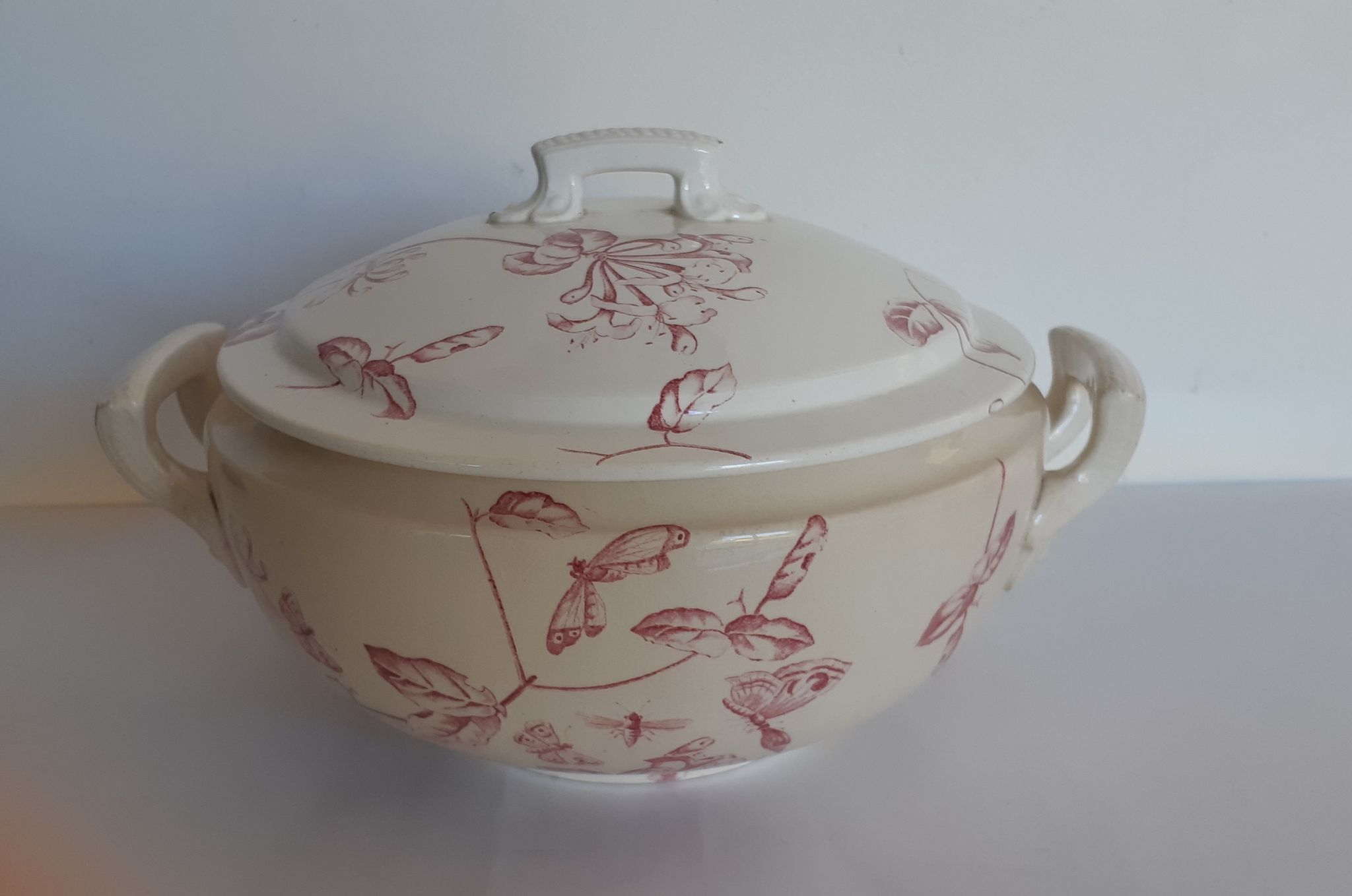 Soup pattern "Chevrefeuille" iron earth, Salins, porcelain