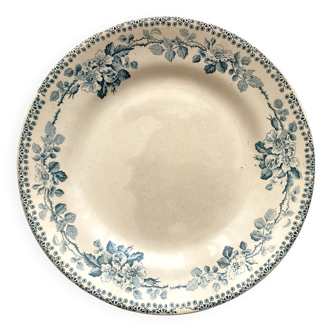 Flat plate, Terre de Fer, Debray Establishment, Guadeloupe Service