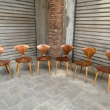 Series of 6 Norman Cherner chairs for Plycraft USA in teak, 1960s