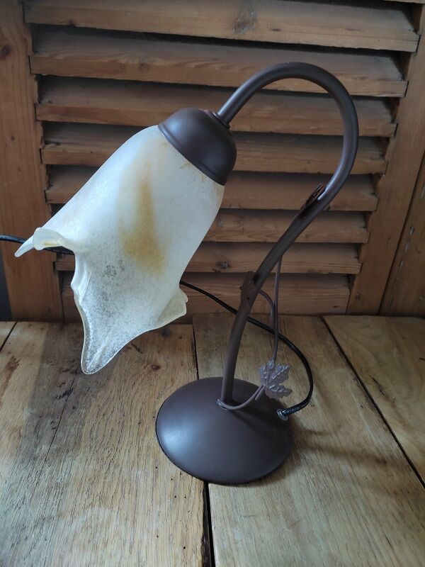 Bedside lamp Metal brown ivy tulip paste orange