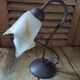 Bedside lamp Metal brown ivy tulip paste orange