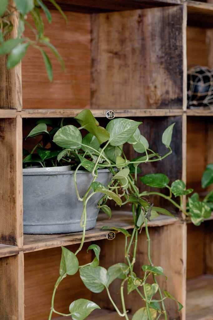 Factory locker cabinet, wood and green