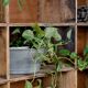 Factory locker cabinet, wood and green