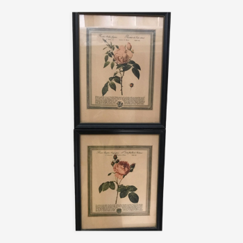 Pair of decorative frames