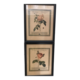Pair of decorative frames