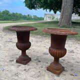 Classic Médicis vases