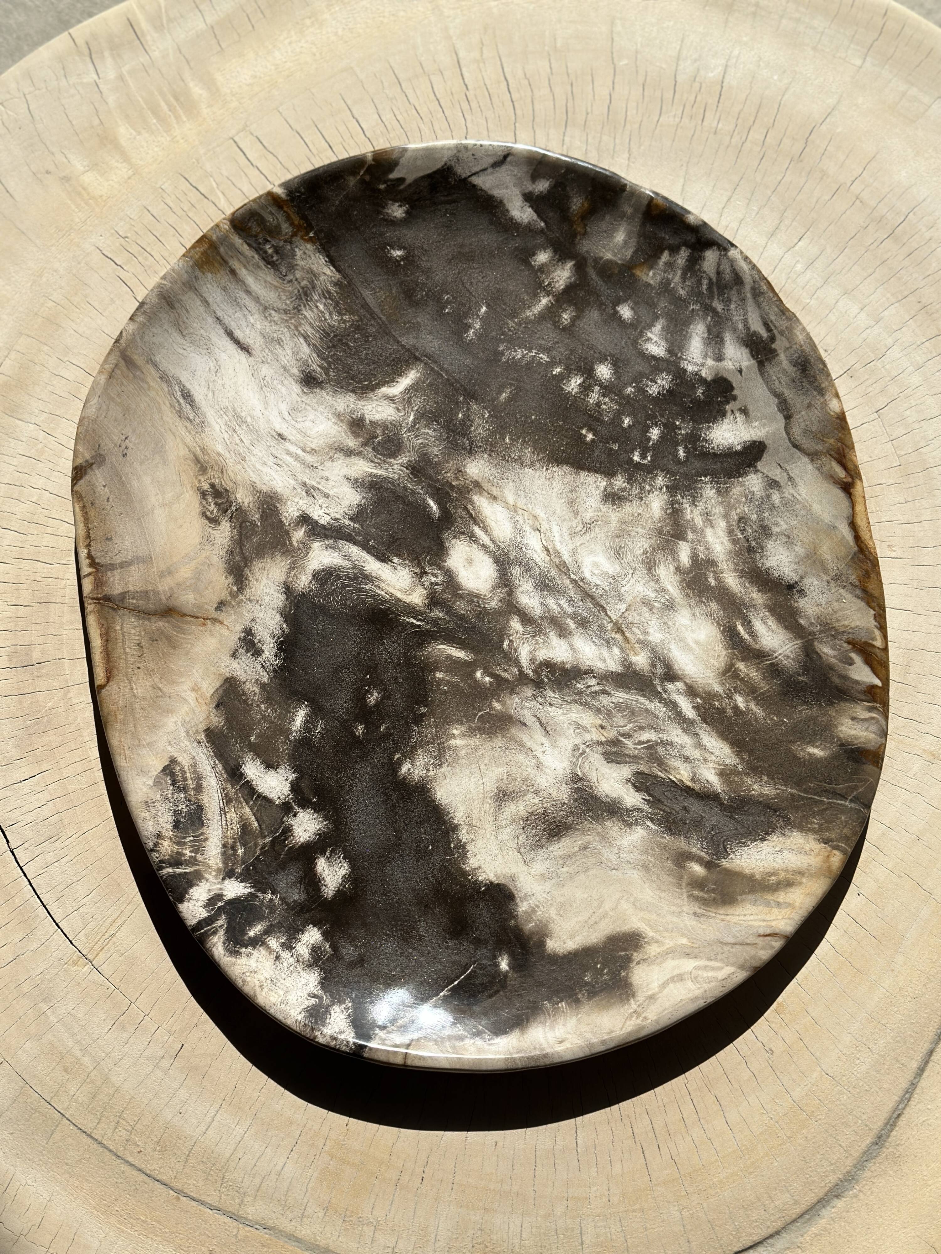 Very large pocket or dish in petrified wood