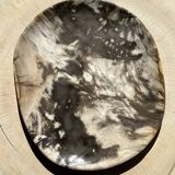 Very large pocket or dish in petrified wood