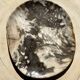 Very large pocket or dish in petrified wood
