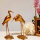 Couple of heron in vintage golden brass