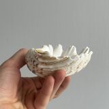 Empty pocket bowl
