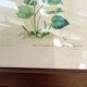 Botanical plate