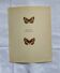 Old Engraving Butterfly Lithograph Naturalist Vintage Plate