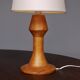 Sculptural Anthroposophical Wooden Table Lamp. 1970s