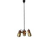 Extendable spotlight ceiling light