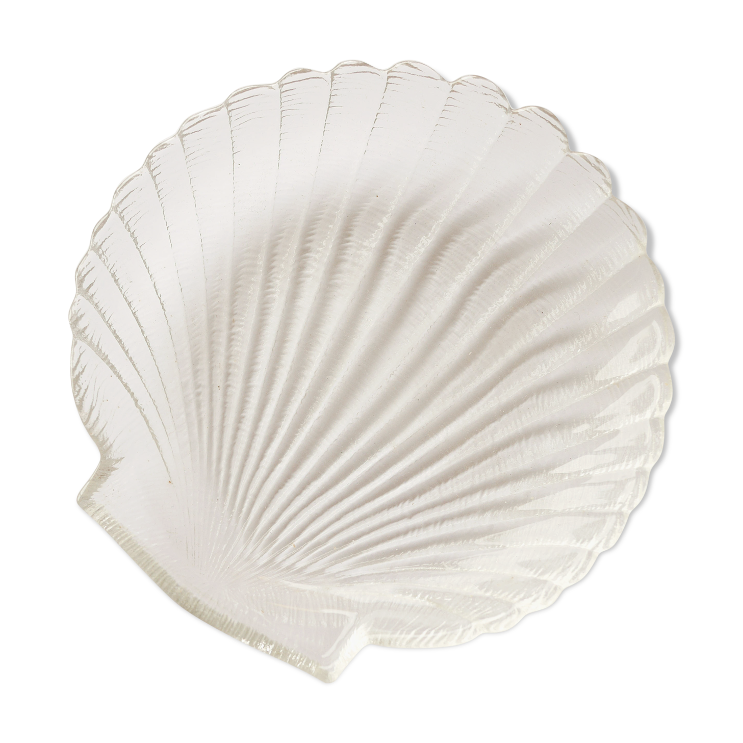 Arcoroc shell cup