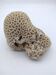Corail cerveau .Favite.