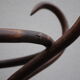 Parrot coat rack wood curved 1950s