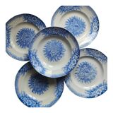 Iron earth plates Saint Amand Hamage