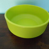 Pot for terracotta anise-green floral composition