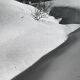 Old black and white silver photography early twentieth century