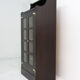 Antique viennese oak bookcase