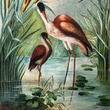 Oil on canvas still life depicting pink flamingos