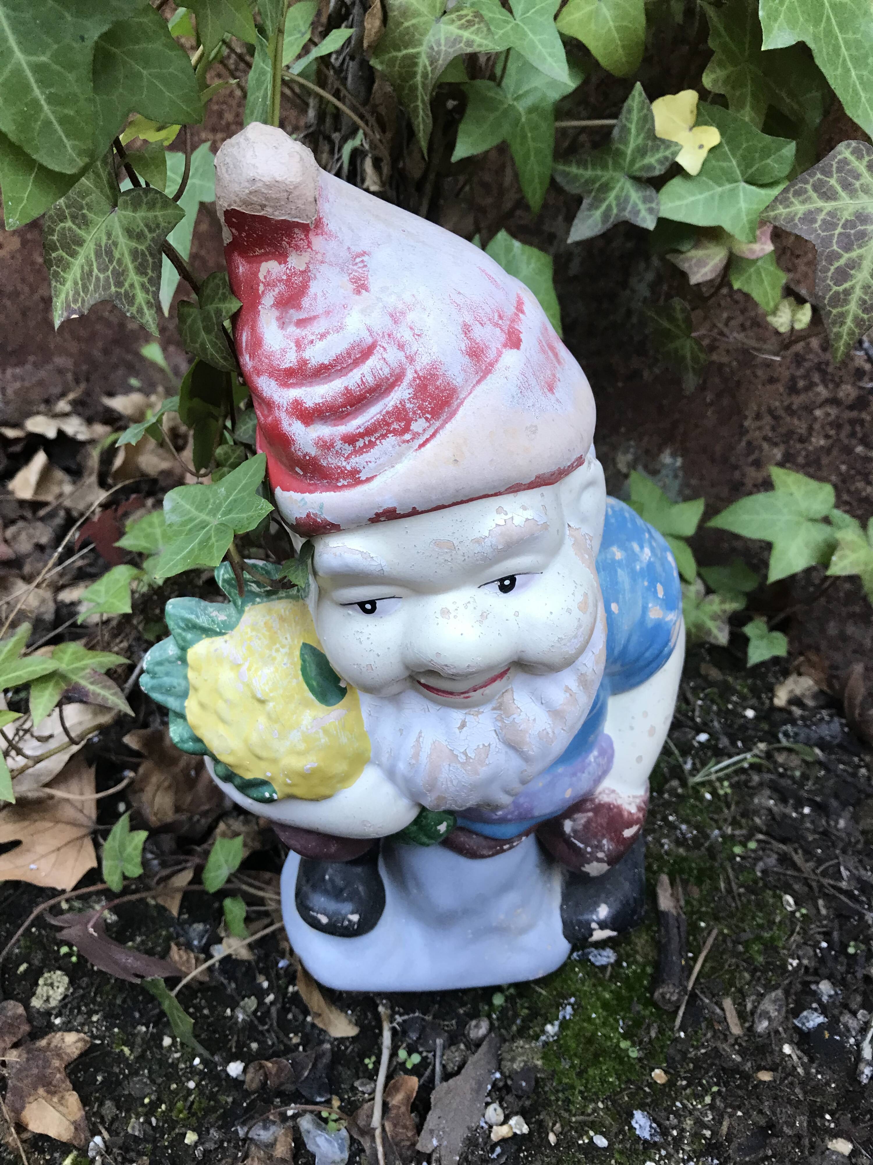 Vintage garden gnome