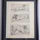 Illustrated plate, Studies of Terrier dogs, signed André Margat, 1930