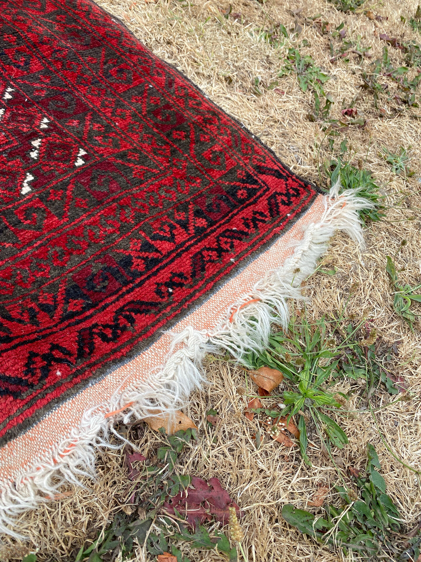 Afghan carpet