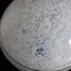Globe for hanging