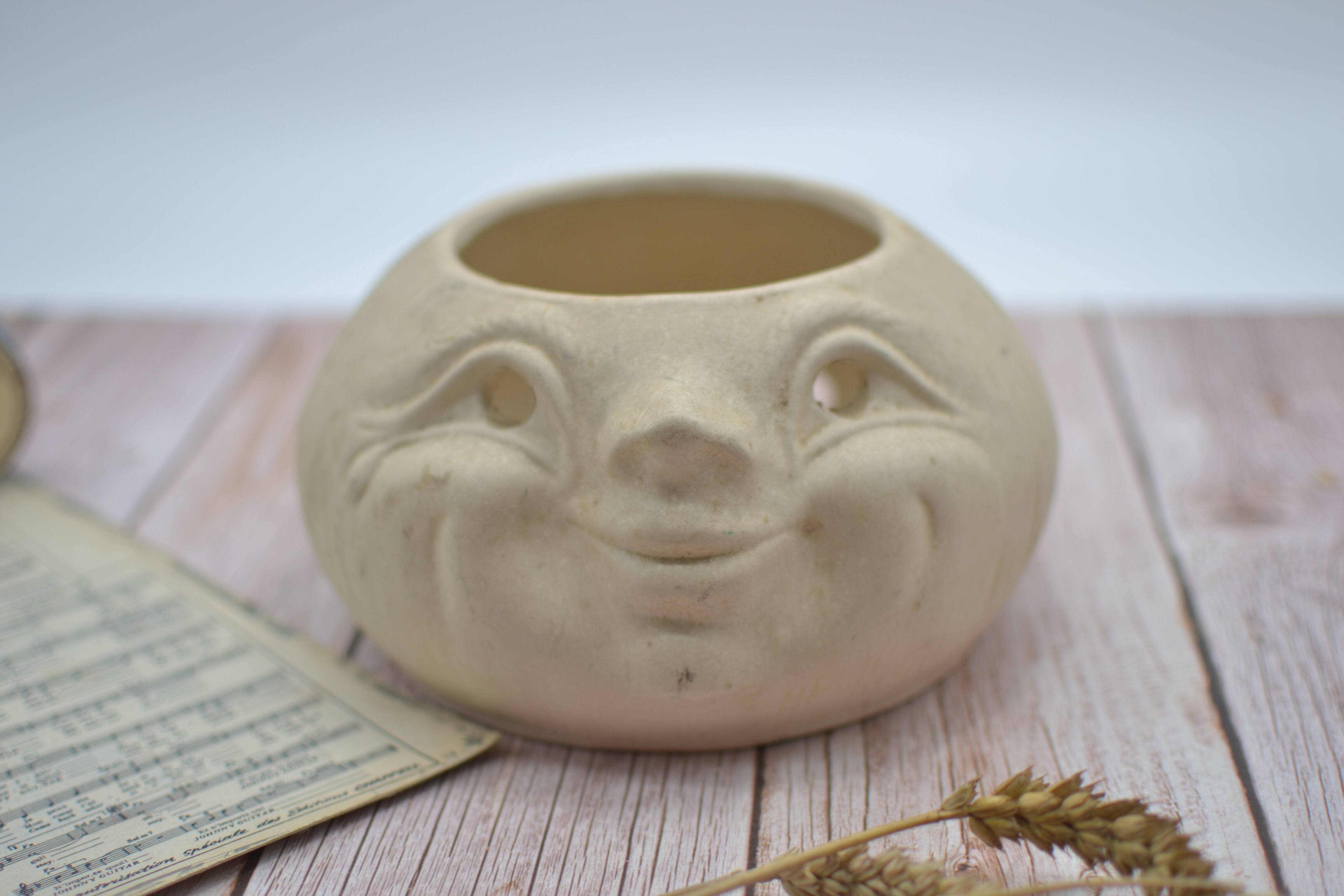 Face pot cover