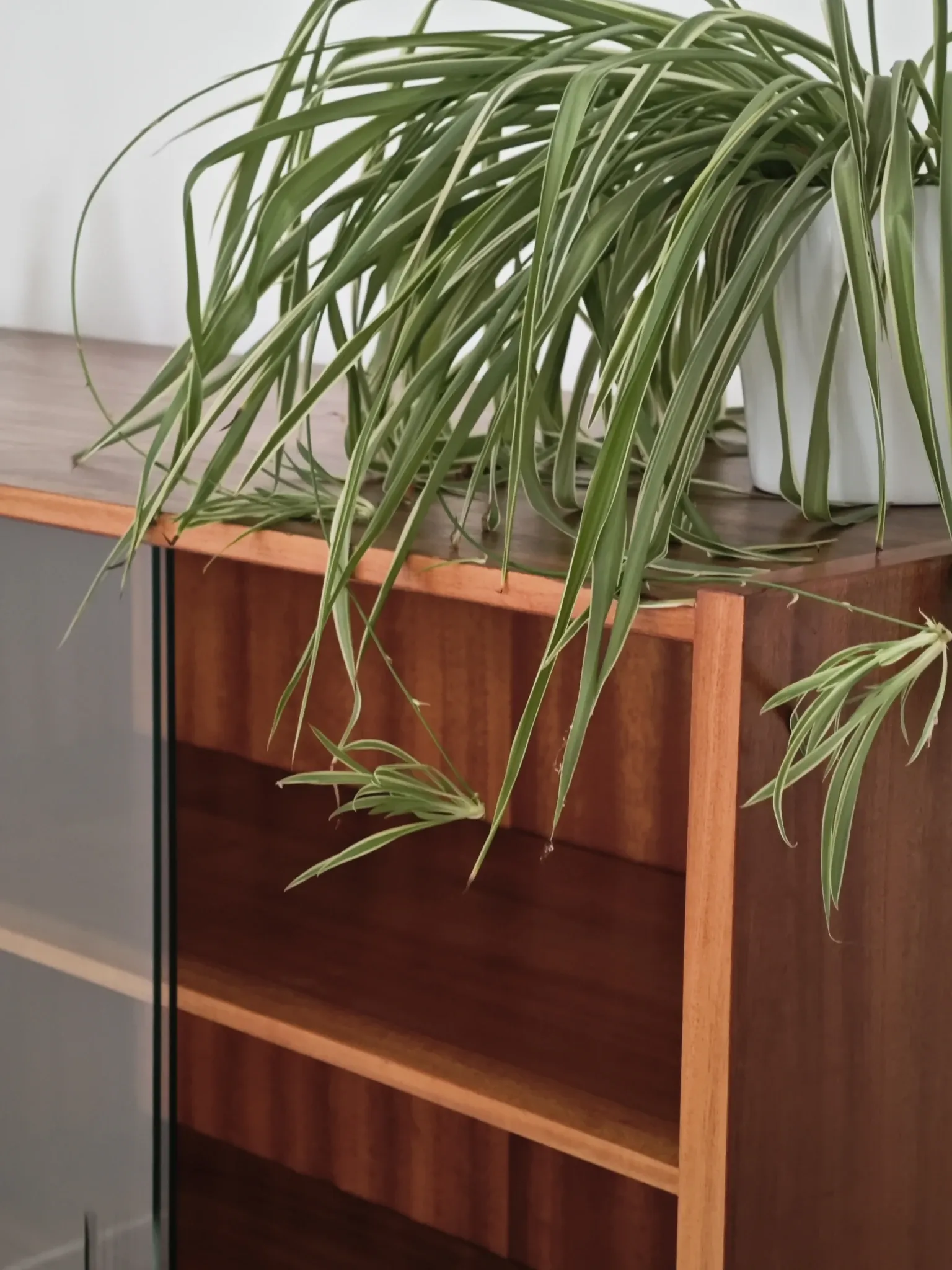 Wooden sideboard by Frantisek Mezulanik for Up Zavody 60