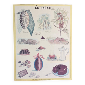 Vintage cardboard poster cocoa chocolate