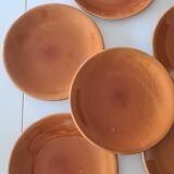 Longchamp flat plates