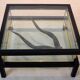 Table basse Romeo Rega