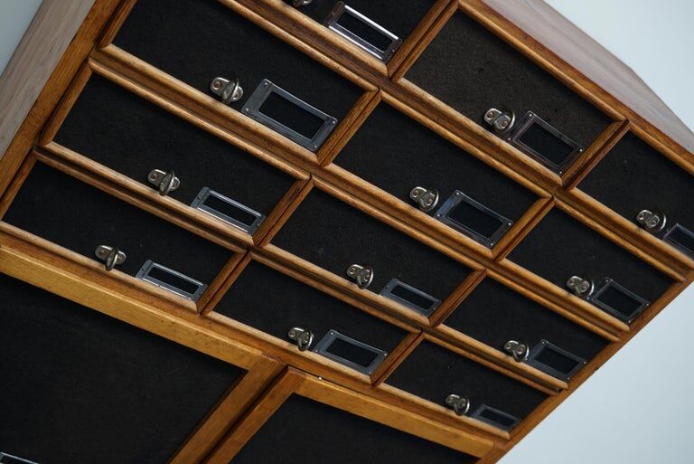 German industrial apothecary cabinet in oak and pine, mid-20th century