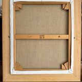 Tableau HST encadré - Les Aras bleus
