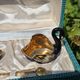 Hand-painted Porcelain Black Swan Salt Cellars Set in original box