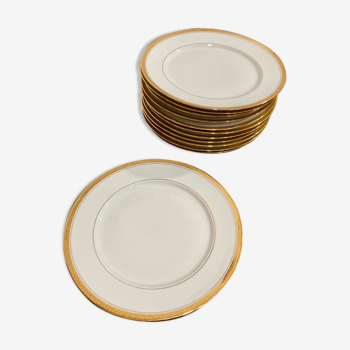 Lot of 12 porcelain plates from Limoges PCVB
