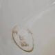 Large compotier Longwy Verveine in earthenware – antique