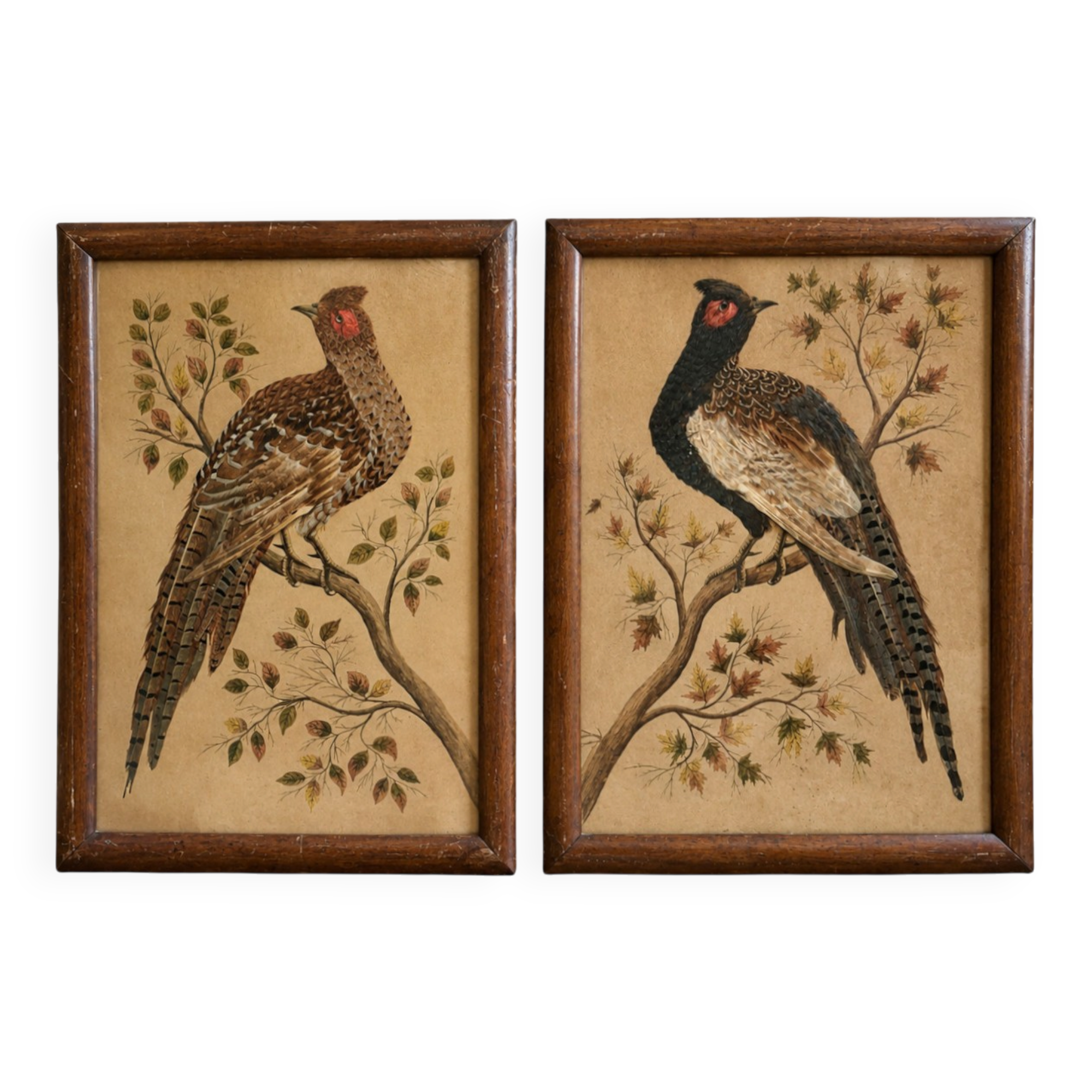Paire de tableaux naturalistes en plumes véritables