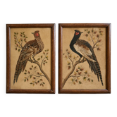 Pair of naturalistic paintings in real feathers