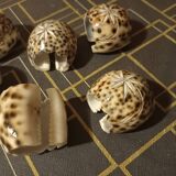 6 carved shell towel rings