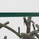 Une table d’appoint vintage dans le style d’Alberto Giacometti