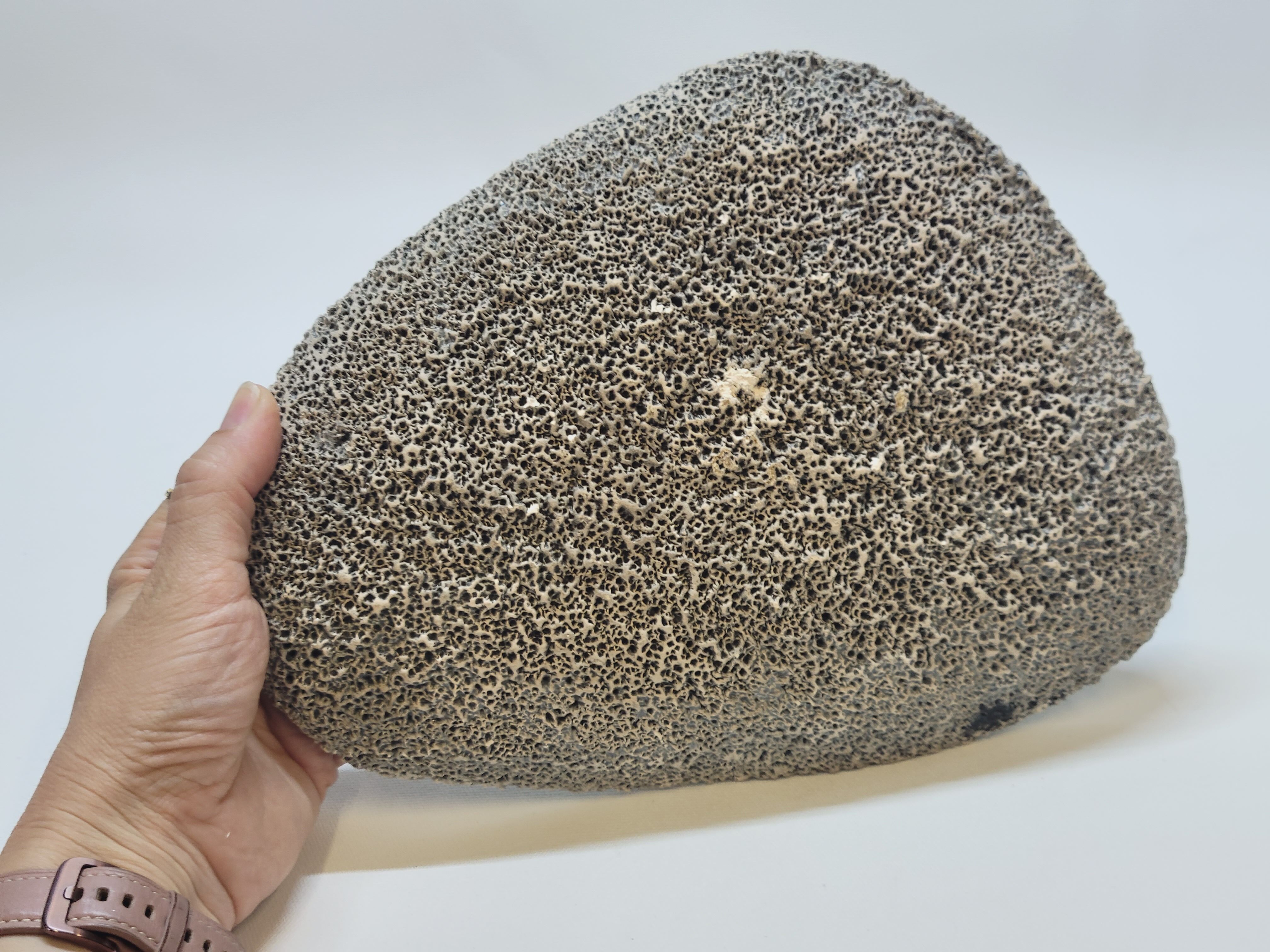 Decorative plate in glazed ceramic plaster? Prehistoric hunting décor