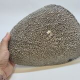 Assiette décorative en céramique émaillée plâtre  décor chasse préhistorique